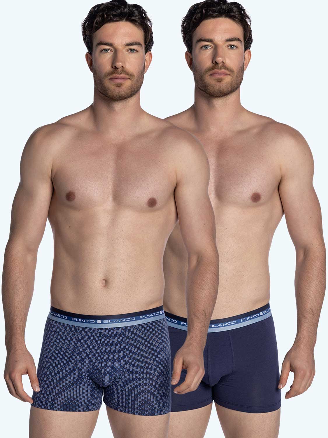 2p Boxer Briefs - Reykjavik (cottonmodal)
